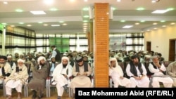 په ننګرهار کې کمپاین.