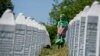 Memorijalni centar Potočari u Srebrenici u kojem su sahranjeni posmrtni ostaci žrtava genocida