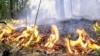 Forest Fires Kill Five In Russia