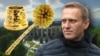 Команда Навального, посилаючись на документи, припускає, що один із туалетів у «палаці для Путіна» має йоржик за 700 доларів. Російське телебачення показує йоржик у туалеті вілли, де відновлювався Навальний 