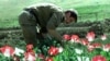 Bush Presses Karzai On Afghan Drug Trade