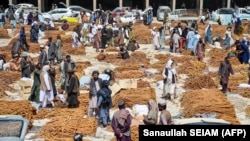 عکس از آرشیف
