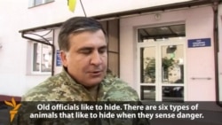 Saakashvili: Corrupt Officials 'Only Playing Dead'