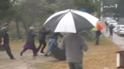 د منظور پښتين د نيولو پر ضد په افغانستان او پاکستان کې احتجاجونه