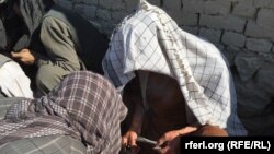 عکس جنبه تزئینی دارد