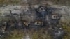 Вашингтон також вважає, що Україна знищила понад 100 «важливих» російських цілей