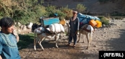 Hundreds of families in the Gizab district of Daikundi province were forcibly evicted by the Taliban.